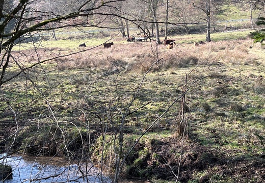 23-03-02 13-38-17 4579